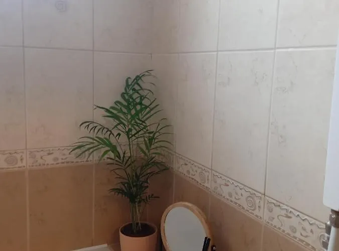 Apartment Mila Vip *