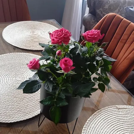 Apartament Mila Vip *