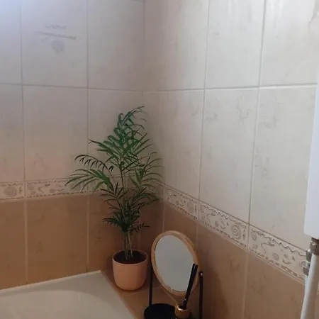 Apartament Mila Vip *