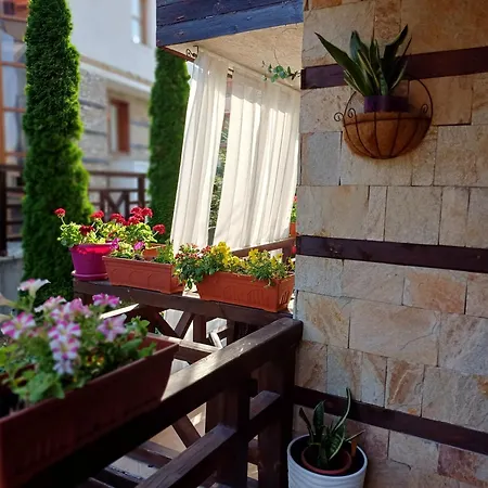 Mila Vip * Bansko