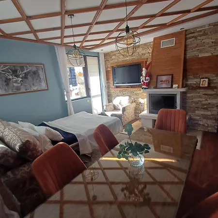 Apartment Mila Vip *