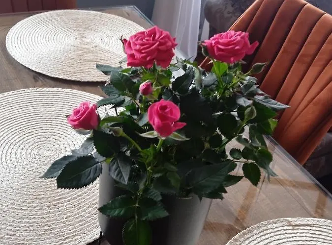 Apartment Mila Vip *