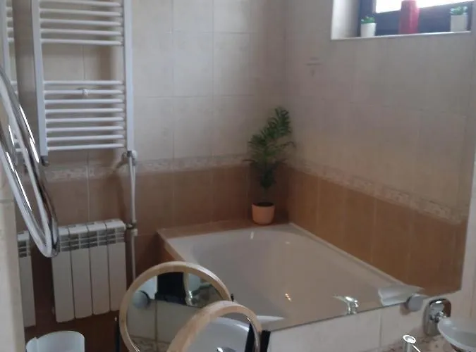 Mila Vip Daire Bansko