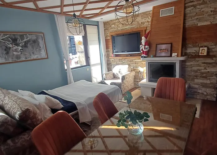 Apartment Mila Vip *